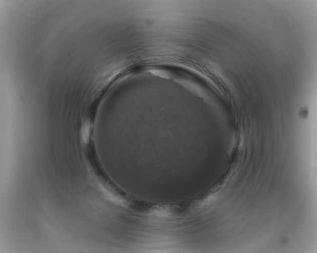 X0000092000076200709061448