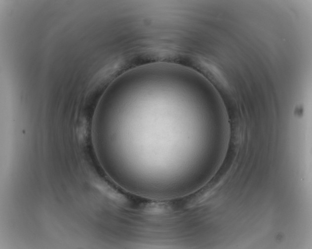 X0000092000077200709061448