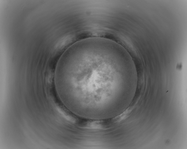 X0000092000078200709061448