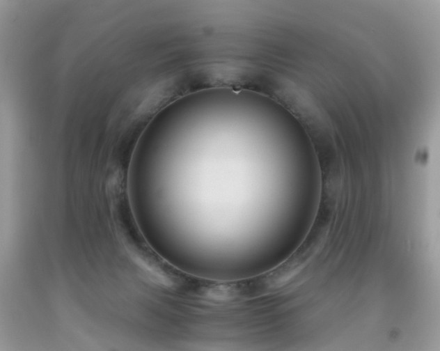 X0000092000079200709061448