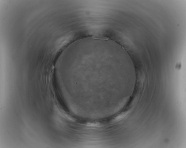 X0000092000080200709061448