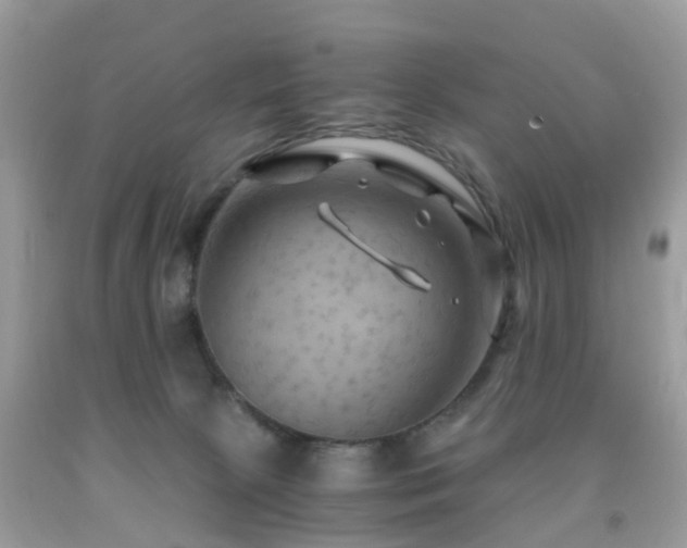 X0000092000081200709061448