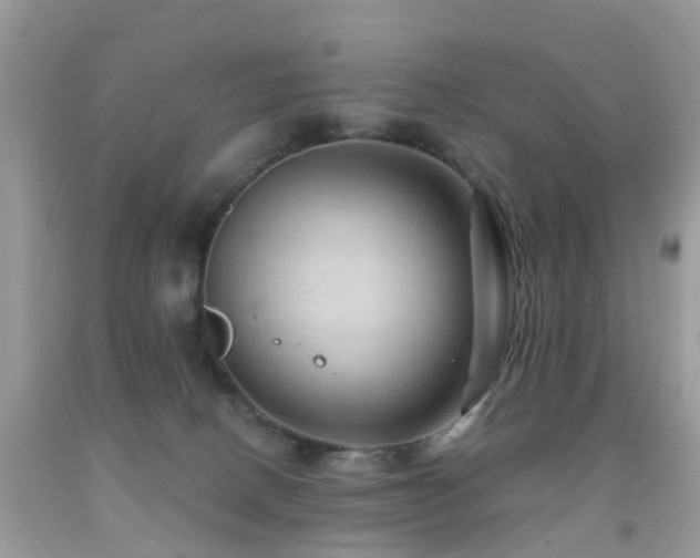 X0000092000082200709061448