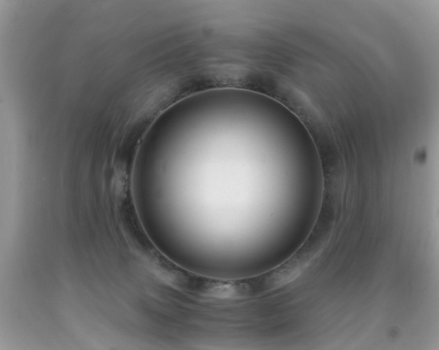 X0000092000083200709061448