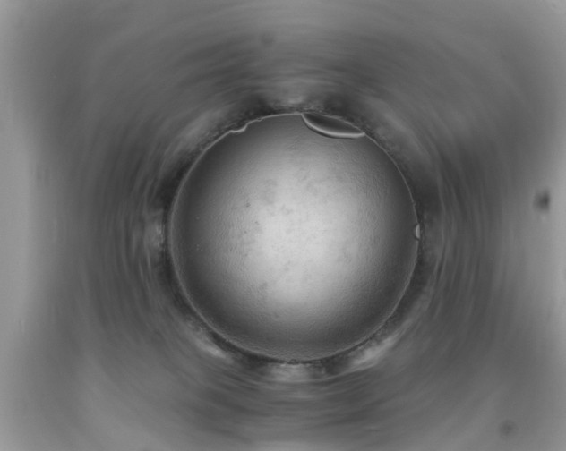 X0000092000085200709061448