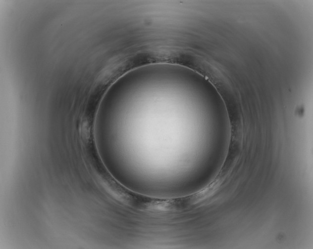 X0000092000086200709061448