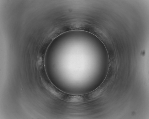 X0000092000087200709061448