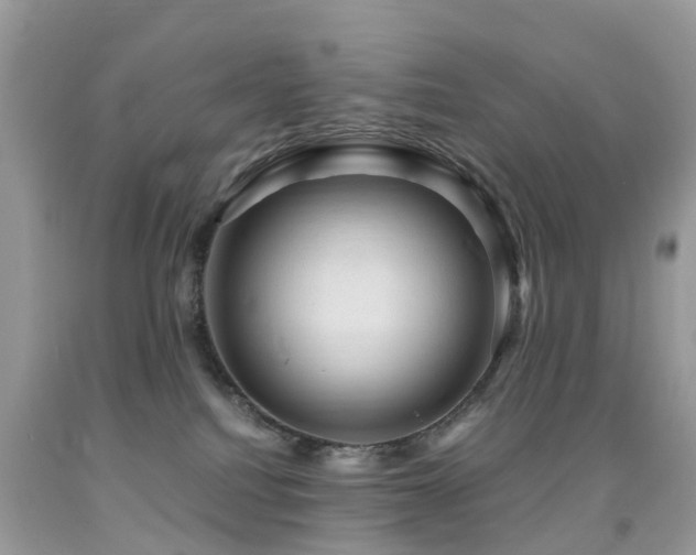 X0000092000088200709061448