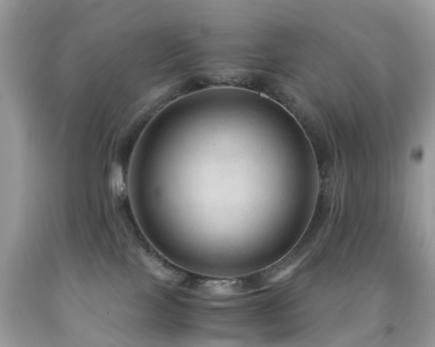 X0000092000089200709061448