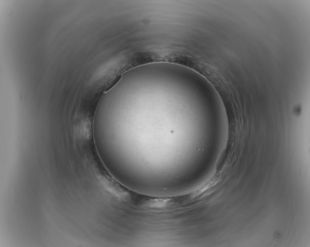 X0000092000090200709061448