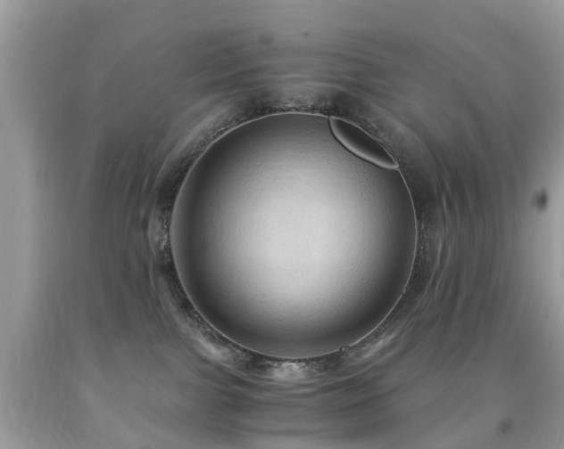 X0000092000091200709061448