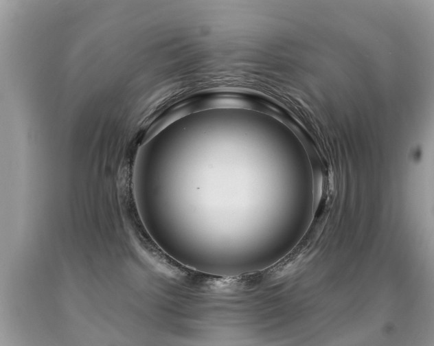 X0000092000092200709061448