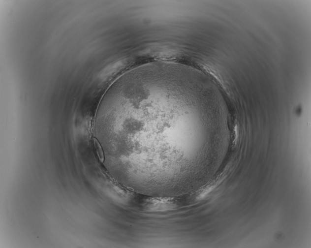 X0000092000093200709061448