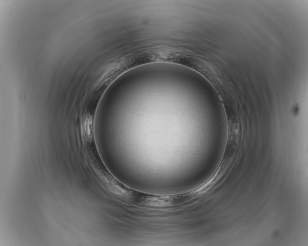 X0000092000094200709061448