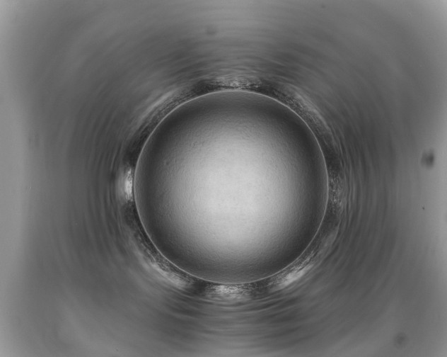 X0000092000095200709061448