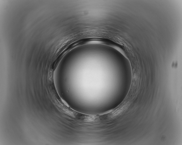 X0000092000096200709061448