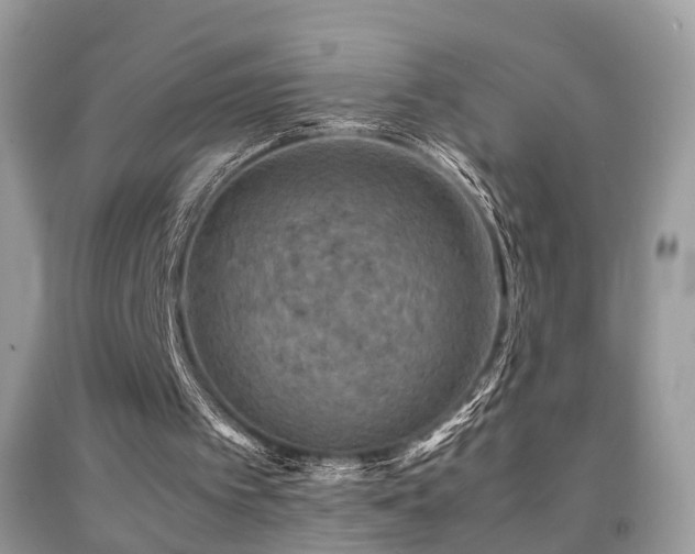 X0000092000097200709061447