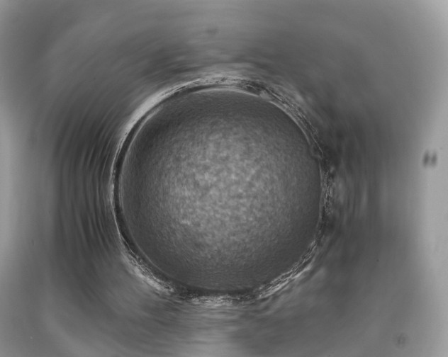 X0000092000100200709061447