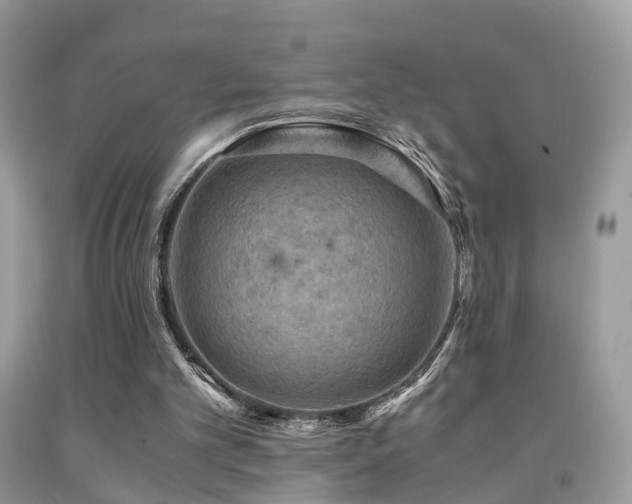 X0000092000101200709061447