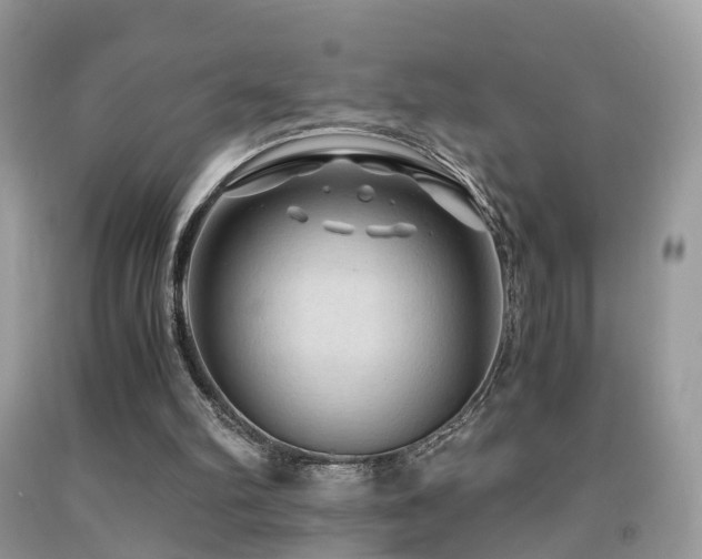 X0000092000102200709061447