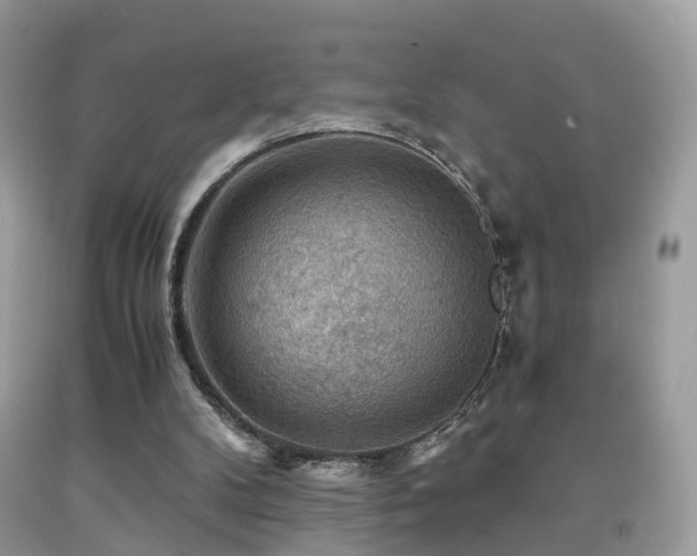 X0000092000104200709061447