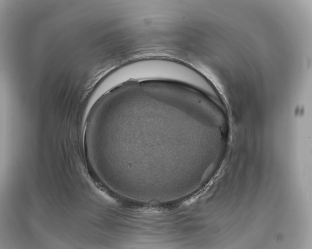 X0000092000105200709061447