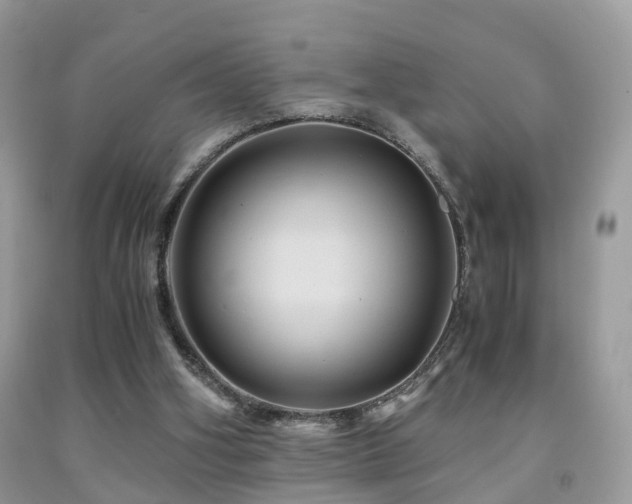 X0000092000106200709061447