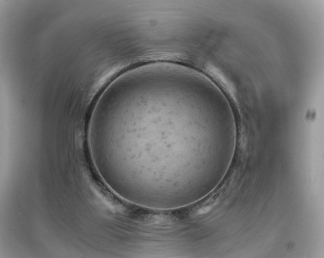 X0000092000107200709061447