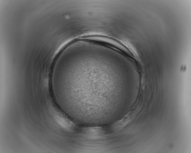 X0000092000108200709061447