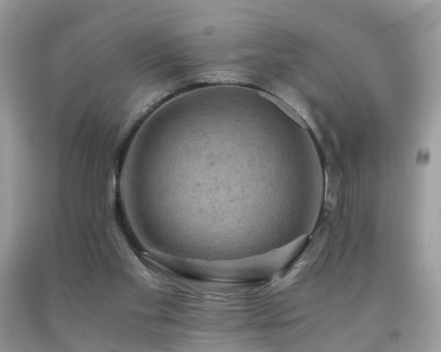 X0000092000109200709061447