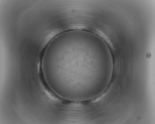 X0000092000110200709061447