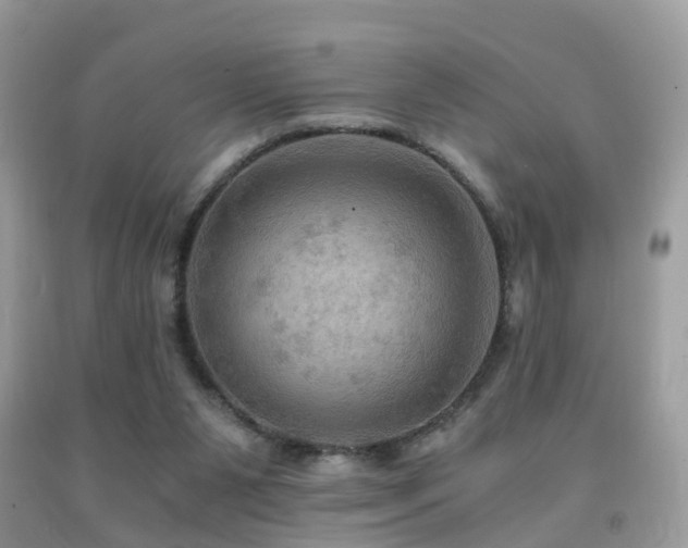 X0000092000111200709061447