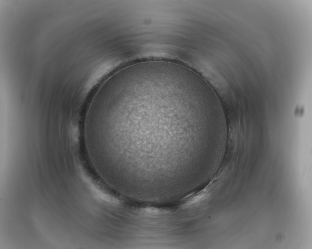 X0000092000112200709061447