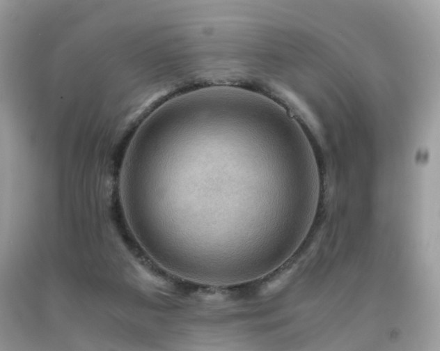 X0000092000113200709061447