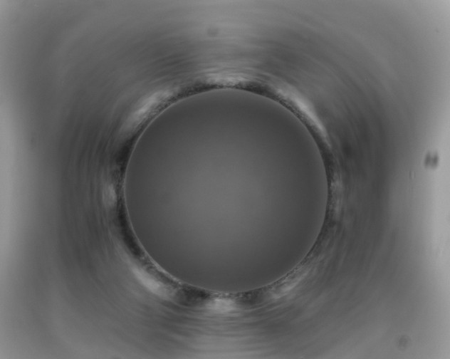 X0000092000114200709061447