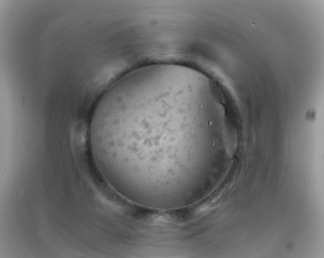 X0000092000115200709061447