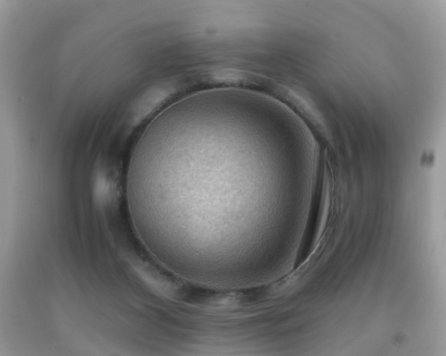 X0000092000116200709061447