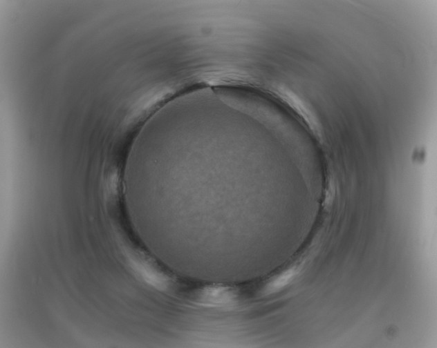 X0000092000117200709061447