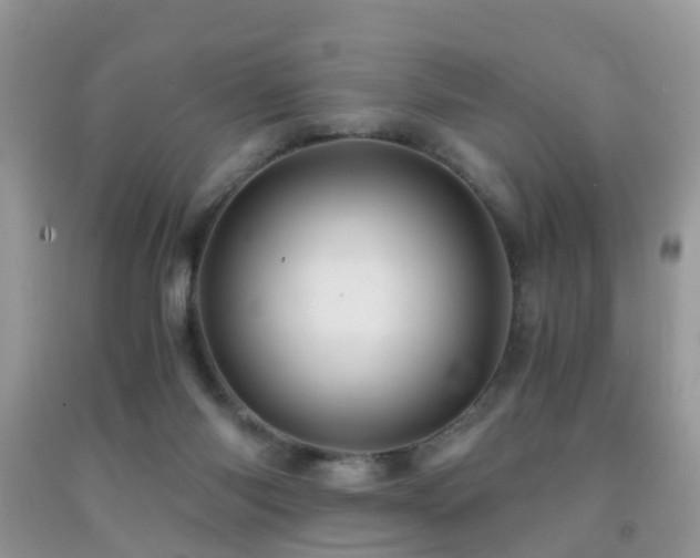 X0000092000118200709061447