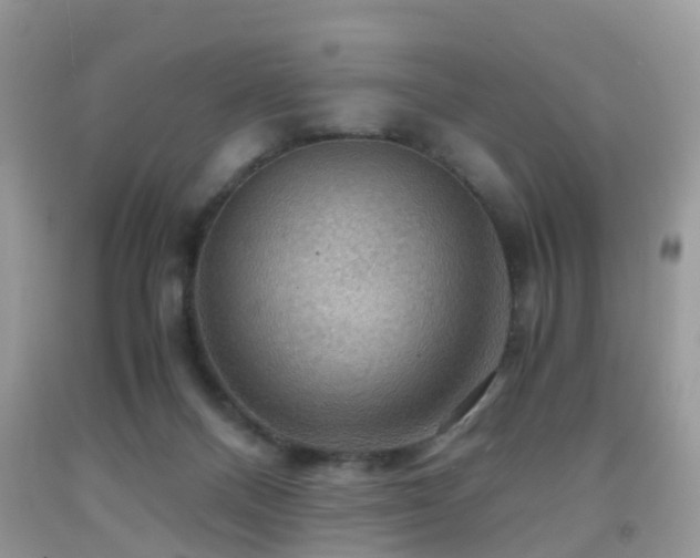 X0000092000120200709061447