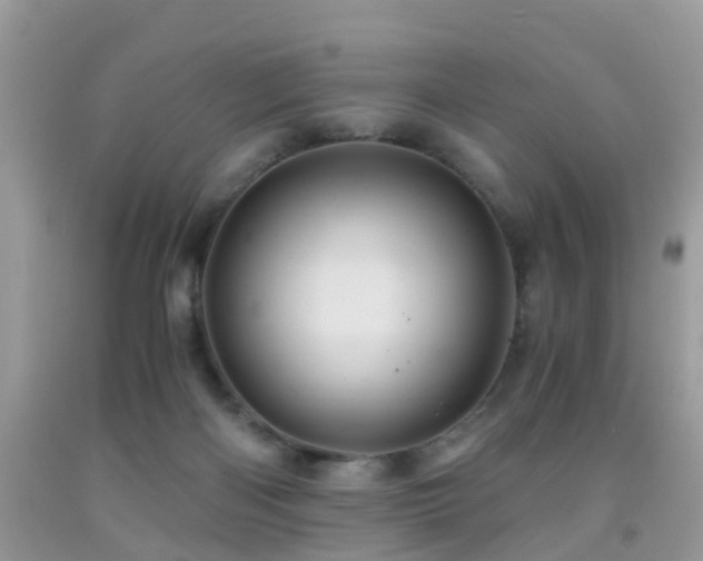 X0000092000122200709061447