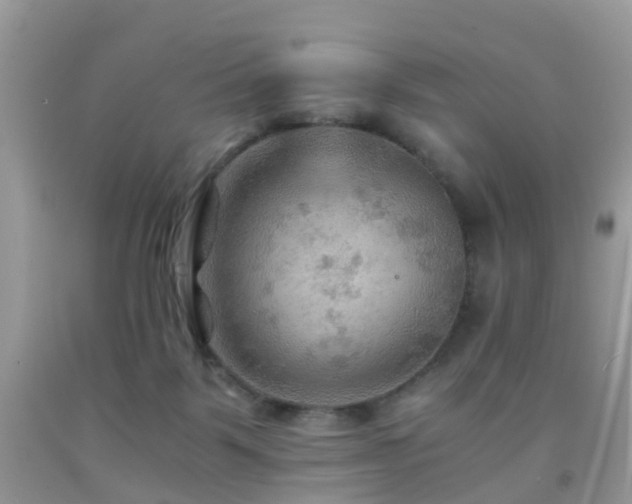 X0000092000123200709061447