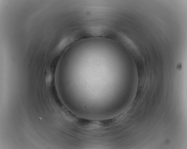 X0000092000124200709061447