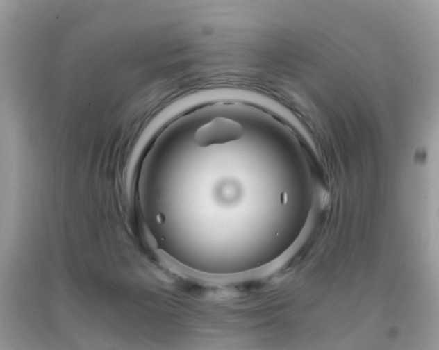 X0000092000125200709061447