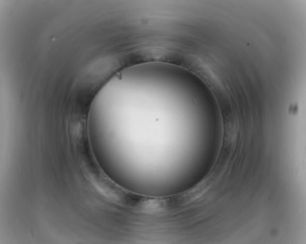 X0000092000126200709061447