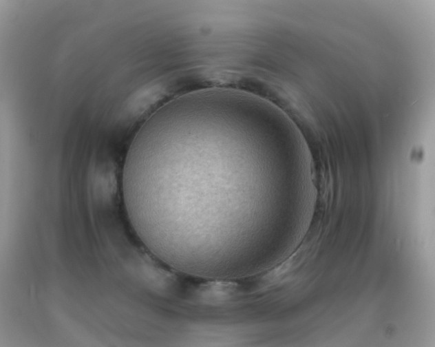 X0000092000128200709061447