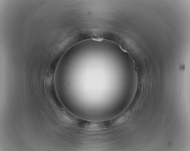 X0000092000129200709061447