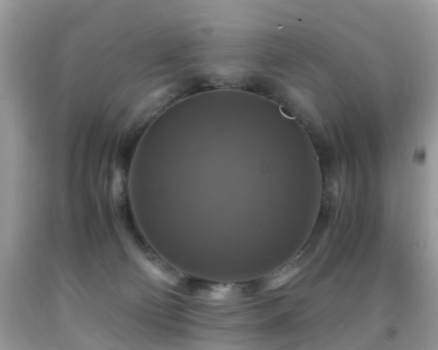 X0000092000130200709061447