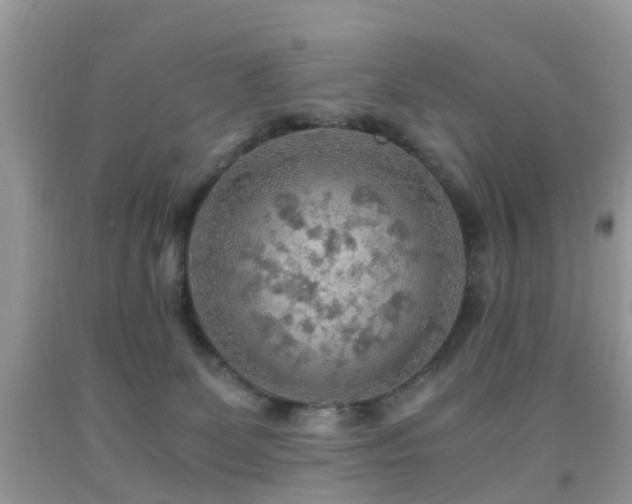 X0000092000131200709061447