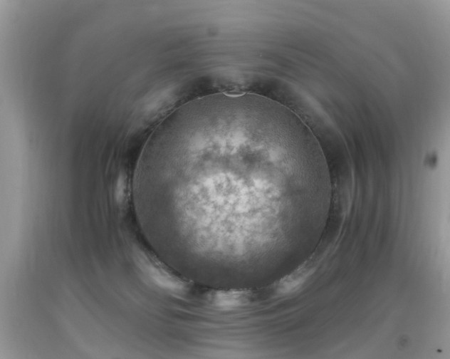 X0000092000134200709061447